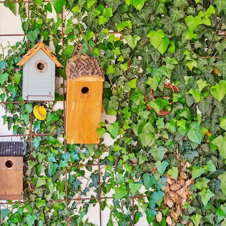 Appartement Come - Charming 1br Apt With Private Garden *